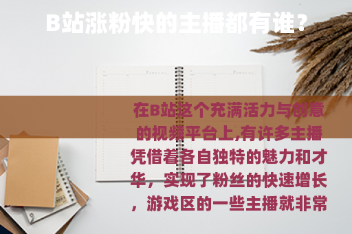 B站涨粉快的主播都有谁？