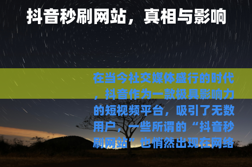 抖音秒刷网站，真相与影响