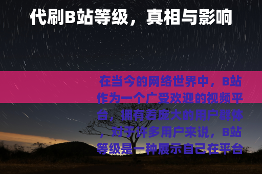 代刷B站等级，真相与影响