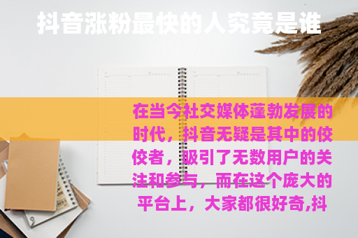 抖音涨粉最快的人究竟是谁