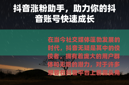 抖音涨粉助手，助力你的抖音账号快速成长