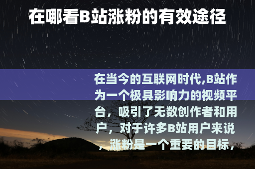 在哪看B站涨粉的有效途径