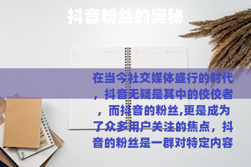 抖音粉丝的奥秘