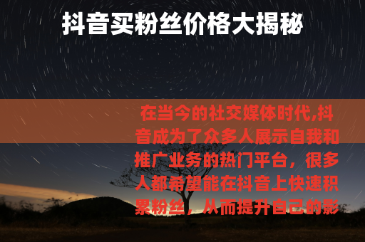 抖音买粉丝价格大揭秘