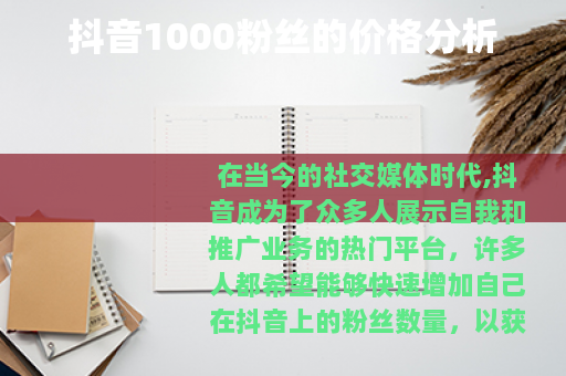 抖音1000粉丝的价格分析