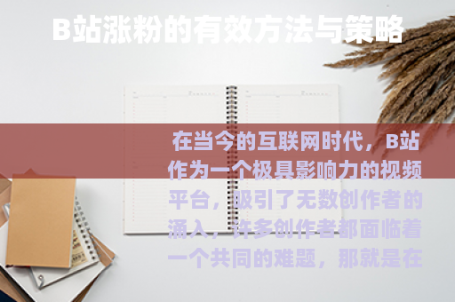 B站涨粉的有效方法与策略