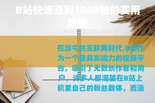 B站快速涨到1000粉的实用攻略