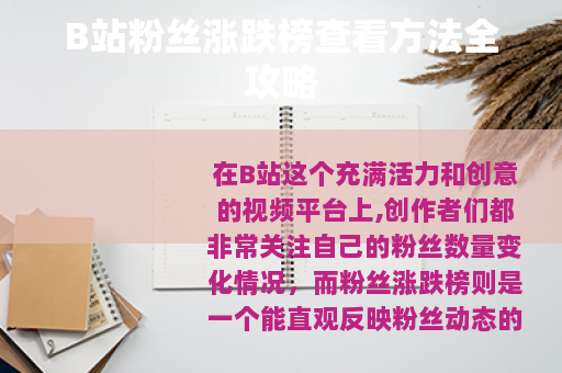 B站粉丝涨跌榜查看方法全攻略