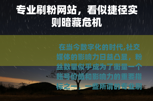 专业刷粉网站，看似捷径实则暗藏危机