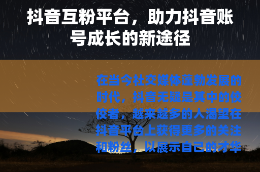 抖音互粉平台，助力抖音账号成长的新途径