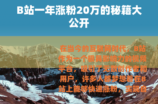 B站一年涨粉20万的秘籍大公开