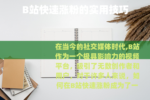 B站快速涨粉的实用技巧