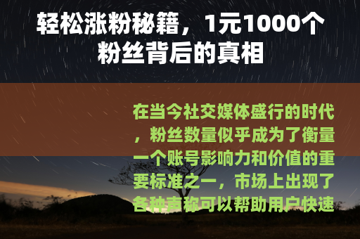 轻松涨粉秘籍，1元1000个粉丝背后的真相