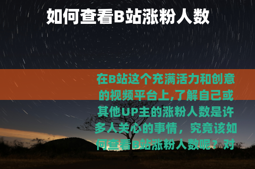 如何查看B站涨粉人数