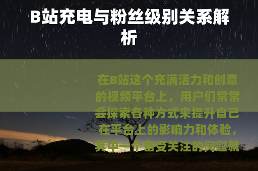 B站充电与粉丝级别关系解析