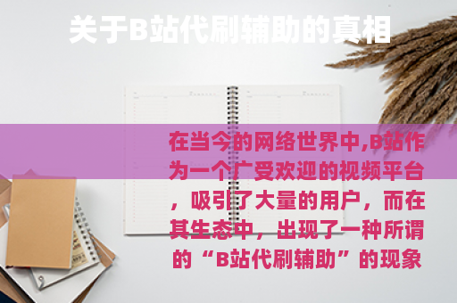 关于B站代刷辅助的真相