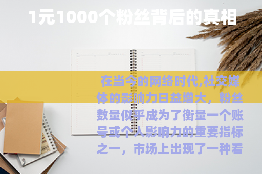 1元1000个粉丝背后的真相