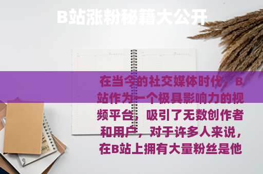 B站涨粉秘籍大公开