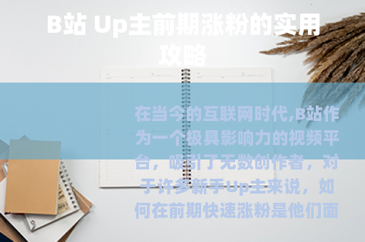 B站 Up主前期涨粉的实用攻略