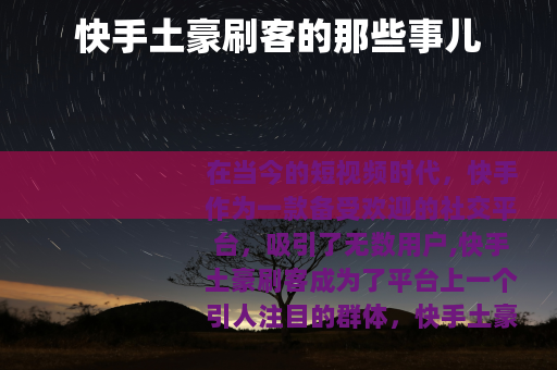 快手土豪刷客的那些事儿