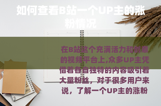 如何查看B站一个UP主的涨粉情况