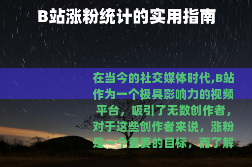 B站涨粉统计的实用指南