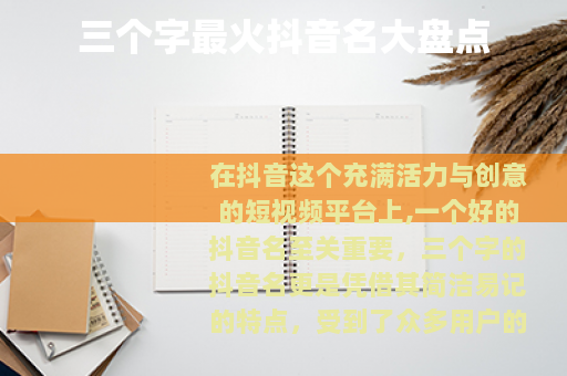 三个字最火抖音名大盘点