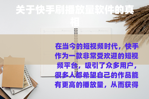 关于快手刷播放量软件的真相