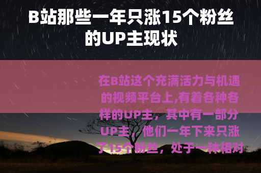 B站那些一年只涨15个粉丝的UP主现状