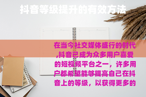 抖音等级提升的有效方法