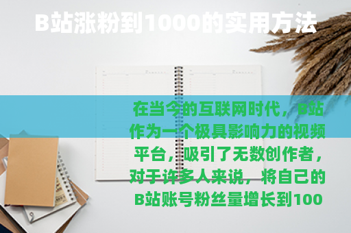 B站涨粉到1000的实用方法