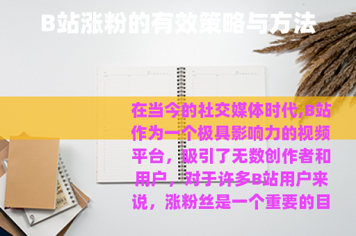 B站涨粉的有效策略与方法