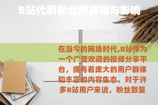 B站代刷粉丝的真相与影响