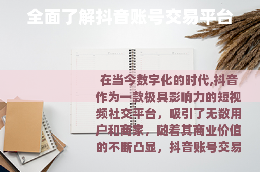 全面了解抖音账号交易平台