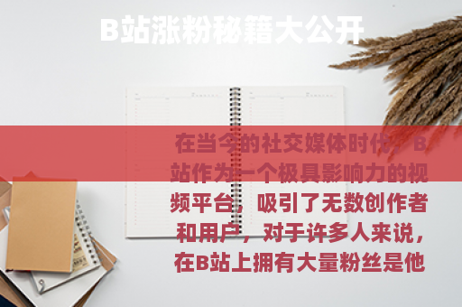 B站涨粉秘籍大公开