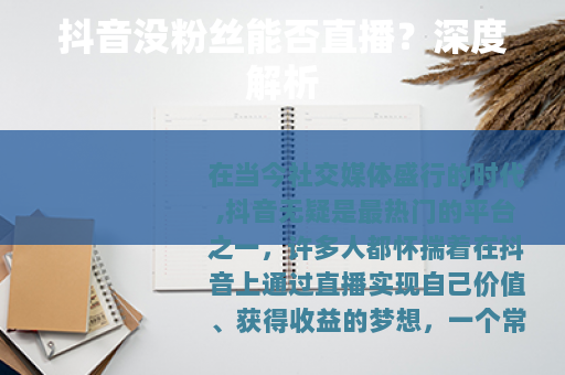 抖音没粉丝能否直播？深度解析